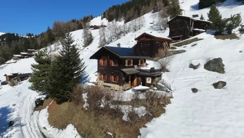 Le Gypaète dans les montagnes enneigées du Val de Bagnes